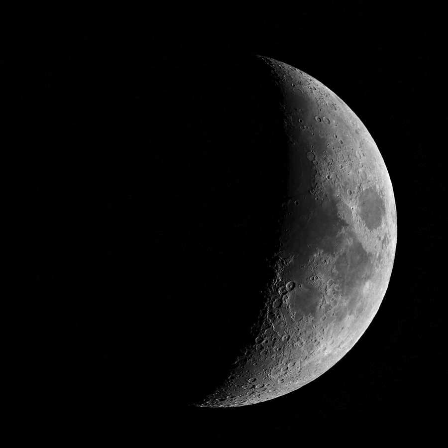 яндекс-картинки