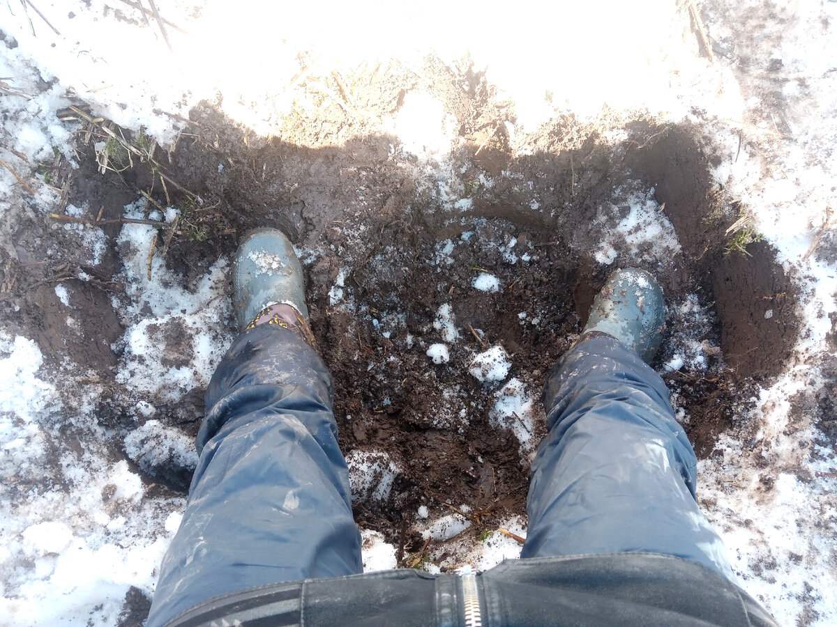 Чуть выше колена