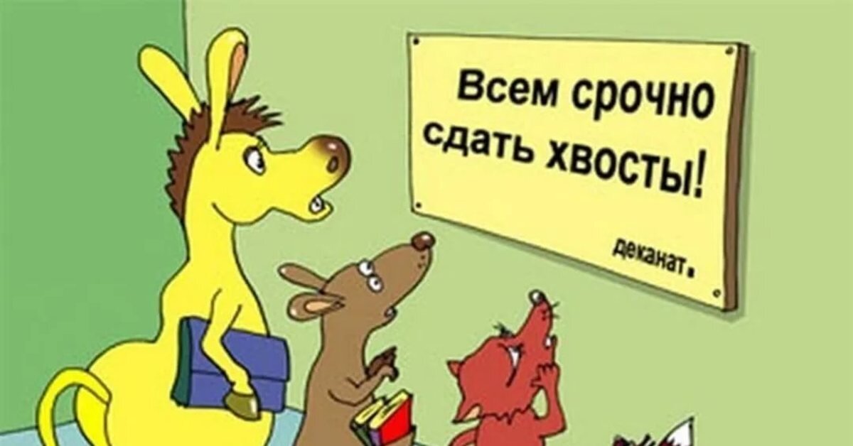 У кого-то "хвост" как у Ирландского Кеона-225 рублей 25 копеек, а у кого-то как у королевского корги-25 рублей 25 копеек. Но все они благородны и прекрасны, потому что все они помогут нашим особенным Друзьям🐶🐱🦽