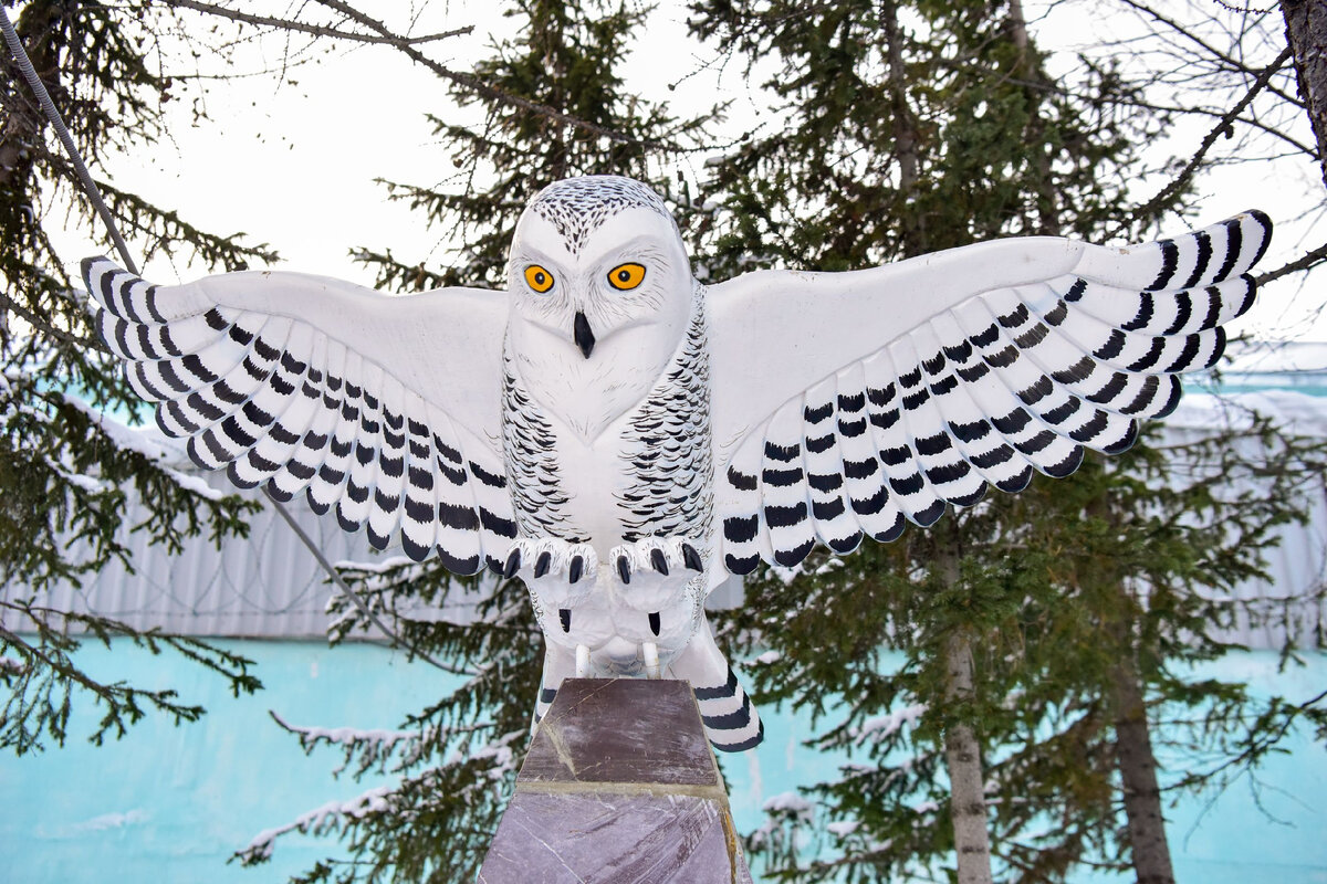 Фото: Андрей Ткачёв/«Ямал-Медиа»