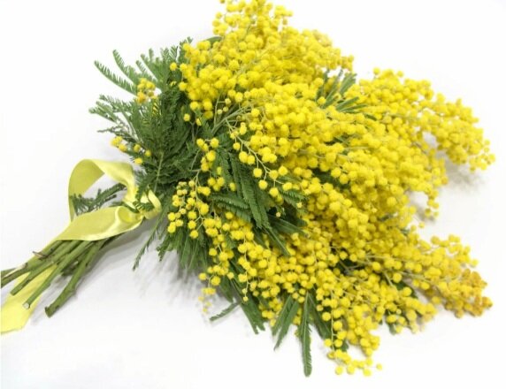 Картинка из открытого доступа