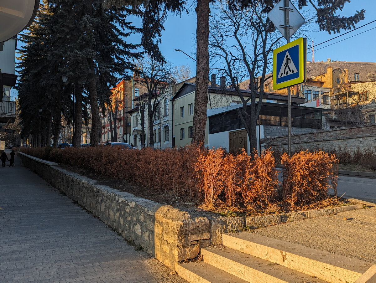 это не осенние краски. это так выглядят трупы деревьев