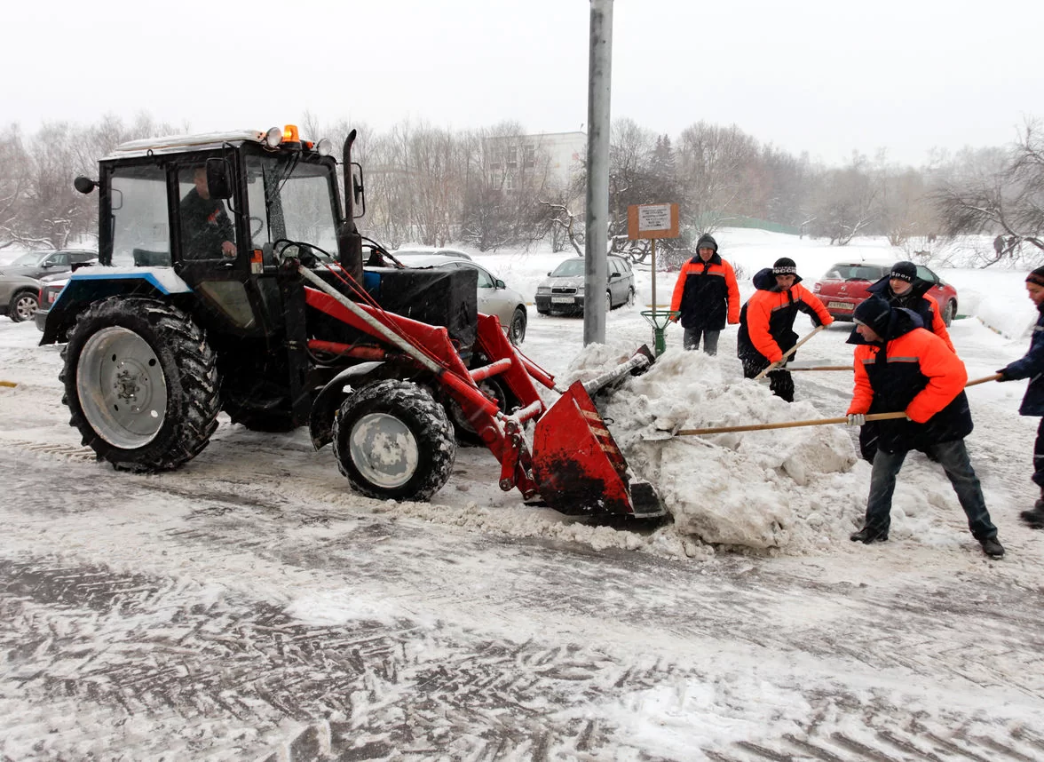 Яндекс Картинки.