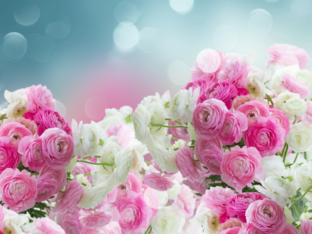 взято на catherineasquithgallery.com