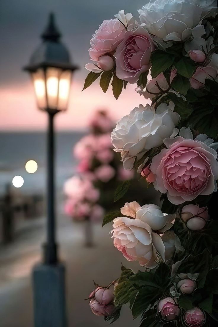 Картинка из Pinterest