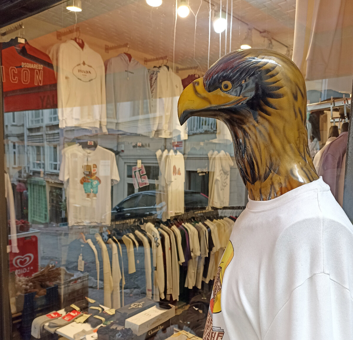 Тоже местный товарищ