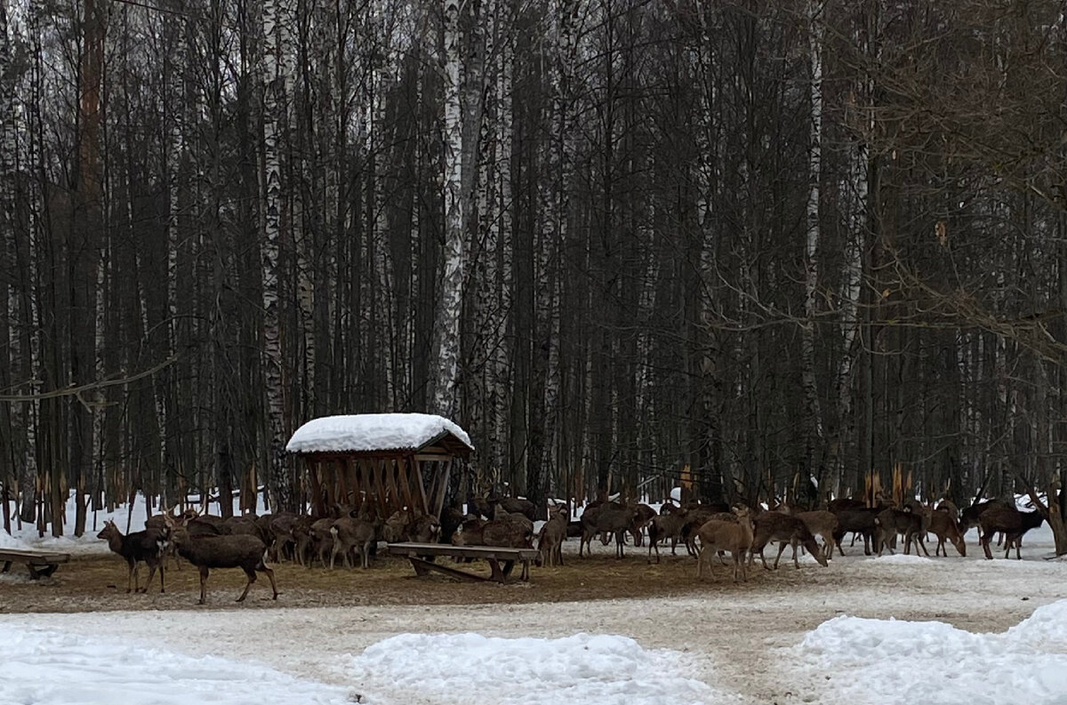 Здесь и далее — фото автора 
