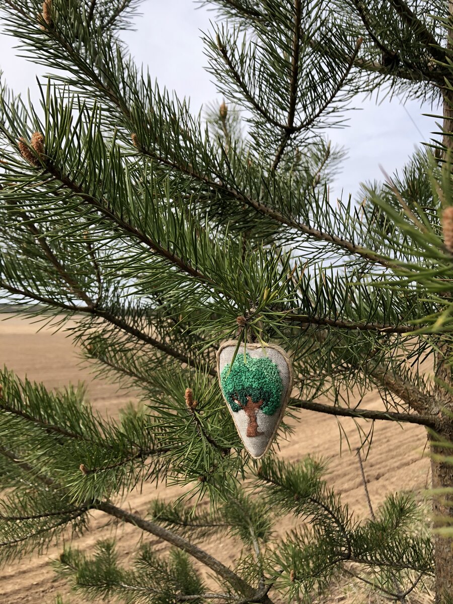Папа терпеливо останавливался и ждал, пока я выберу подходящее дерево для этой фотографии. Фото автора