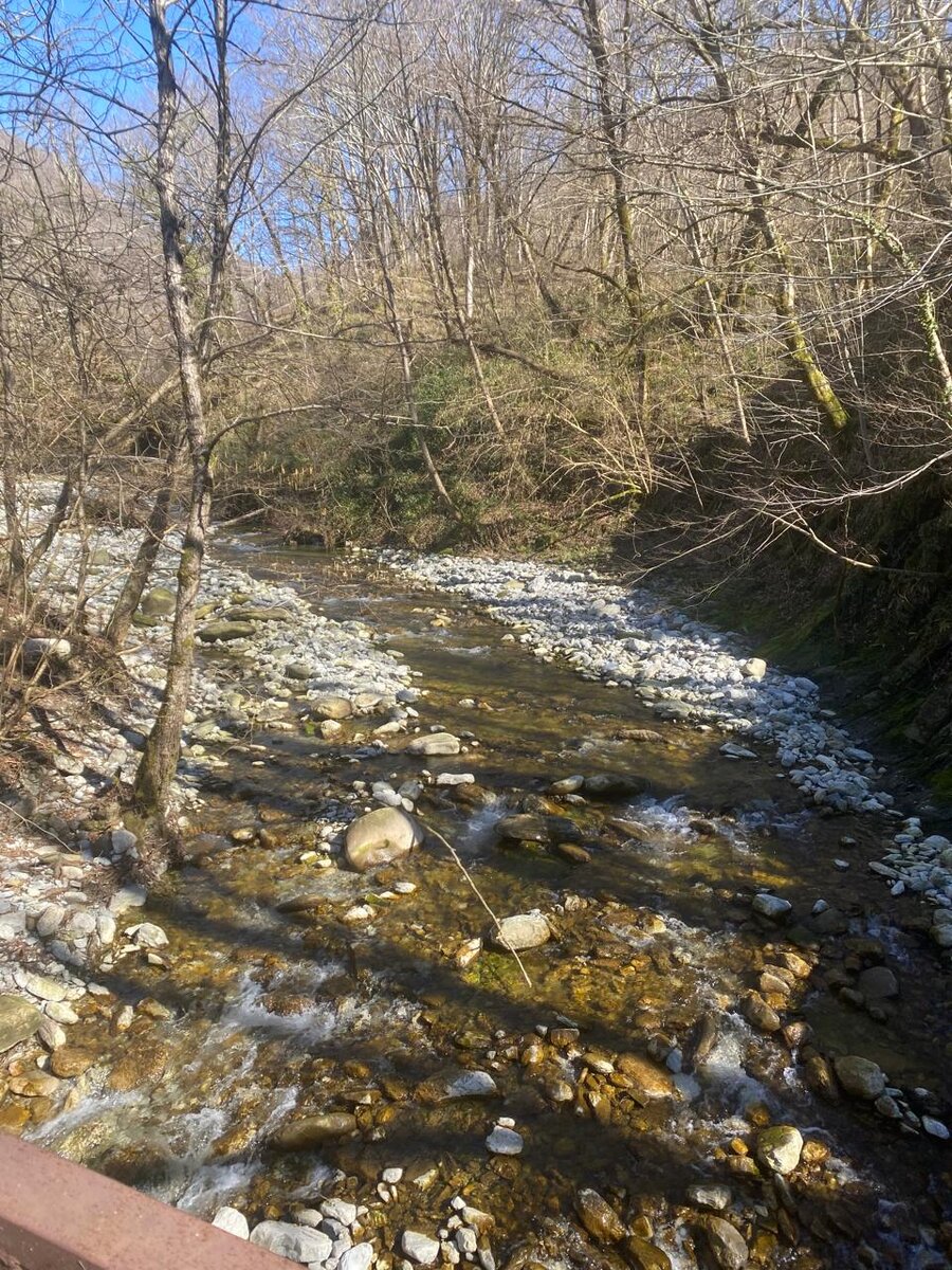 Течение реки Куапсе