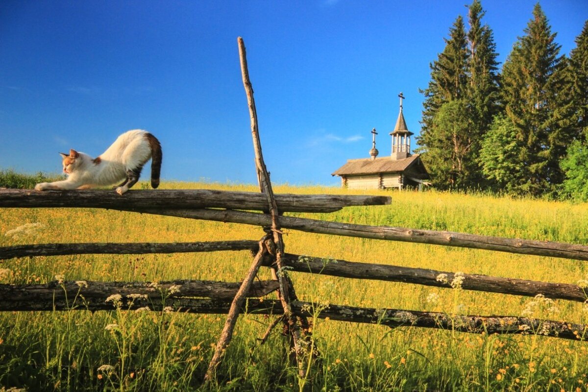 такого отношения к себе не заслужила