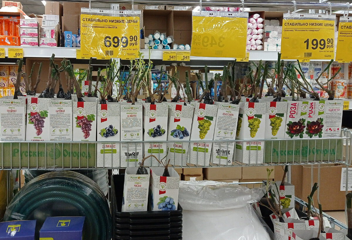 Ассортимент магазина Находка