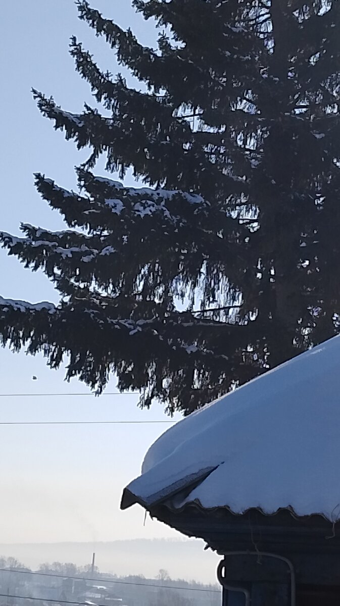 Утро сегодня.