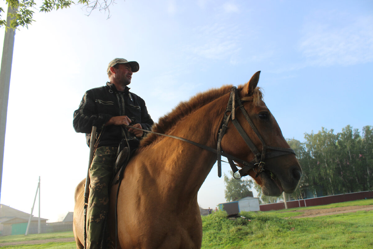 Авторское фото для иллюстрации.
