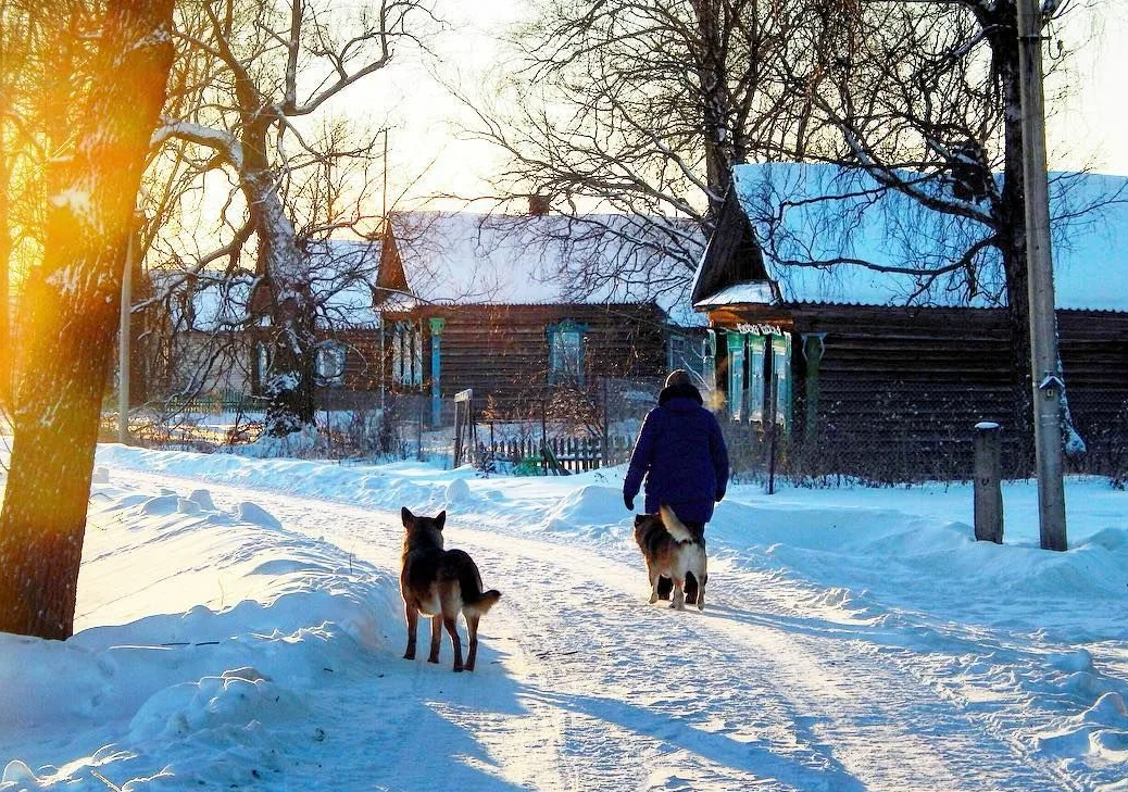 Яндекс картинки