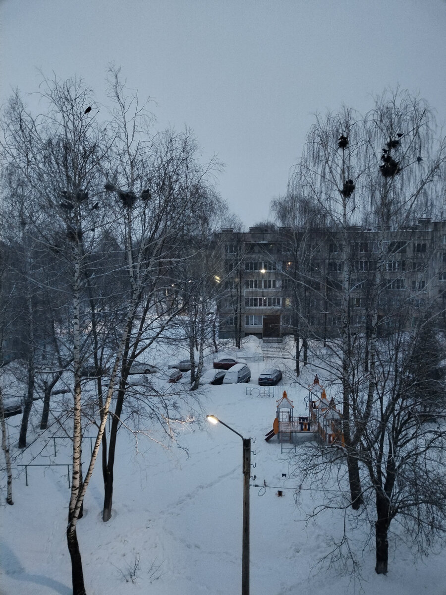 5.30 утра, "будильники" прилетели, теперь все лето и осень поднимать народ будут...Чтоб "не проспали"! 