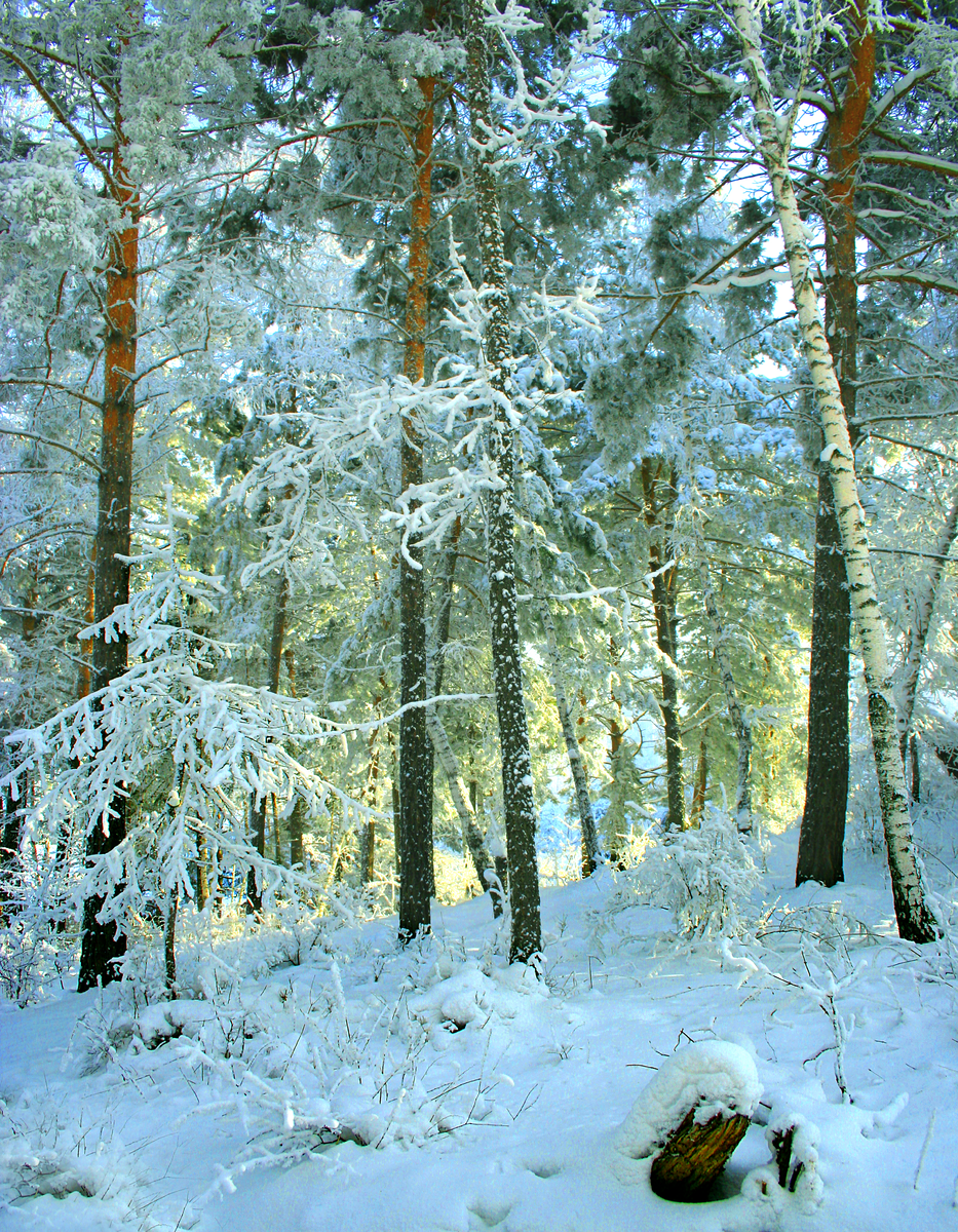 Фотография, стихотворение Василия Глуцкого
