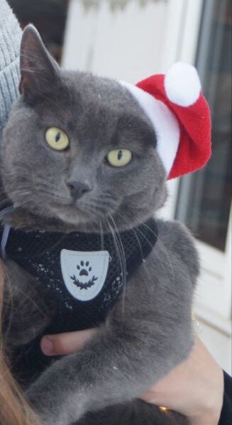 Фото описывает моё выражение лица 🤣