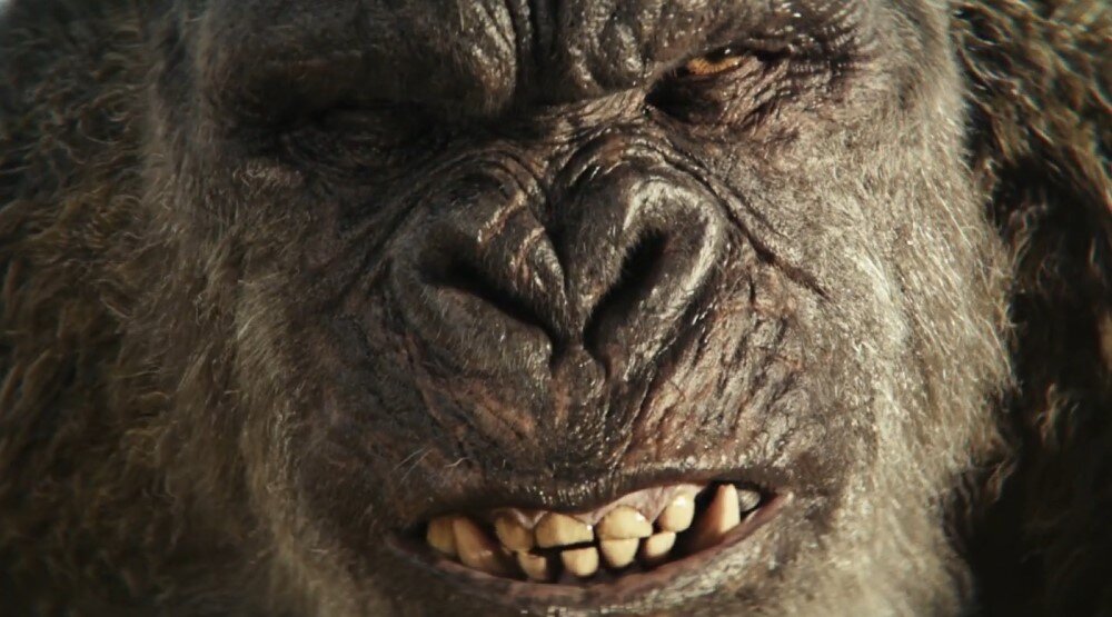     Кадр из фильма «Годзилла и Конг: Новая империя» (2024)