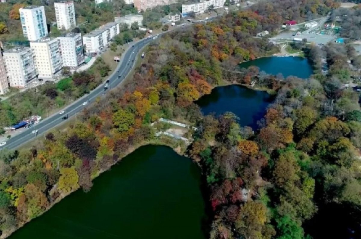 Владивосток вернул в собственность объекты в парке Минного городка | АиФ  Приморье | Дзен