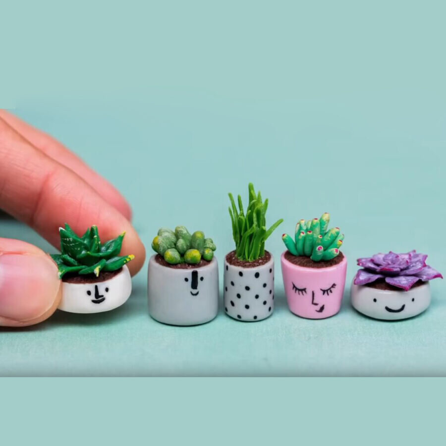    Суккуленты из полимерной глины   
Источник: Скриншот из видео