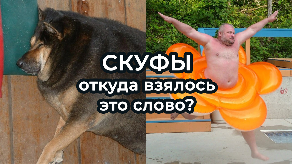 Кто такие СКУФЫ? Почему про них все говорят? | Это надо обыграть: мемы ...