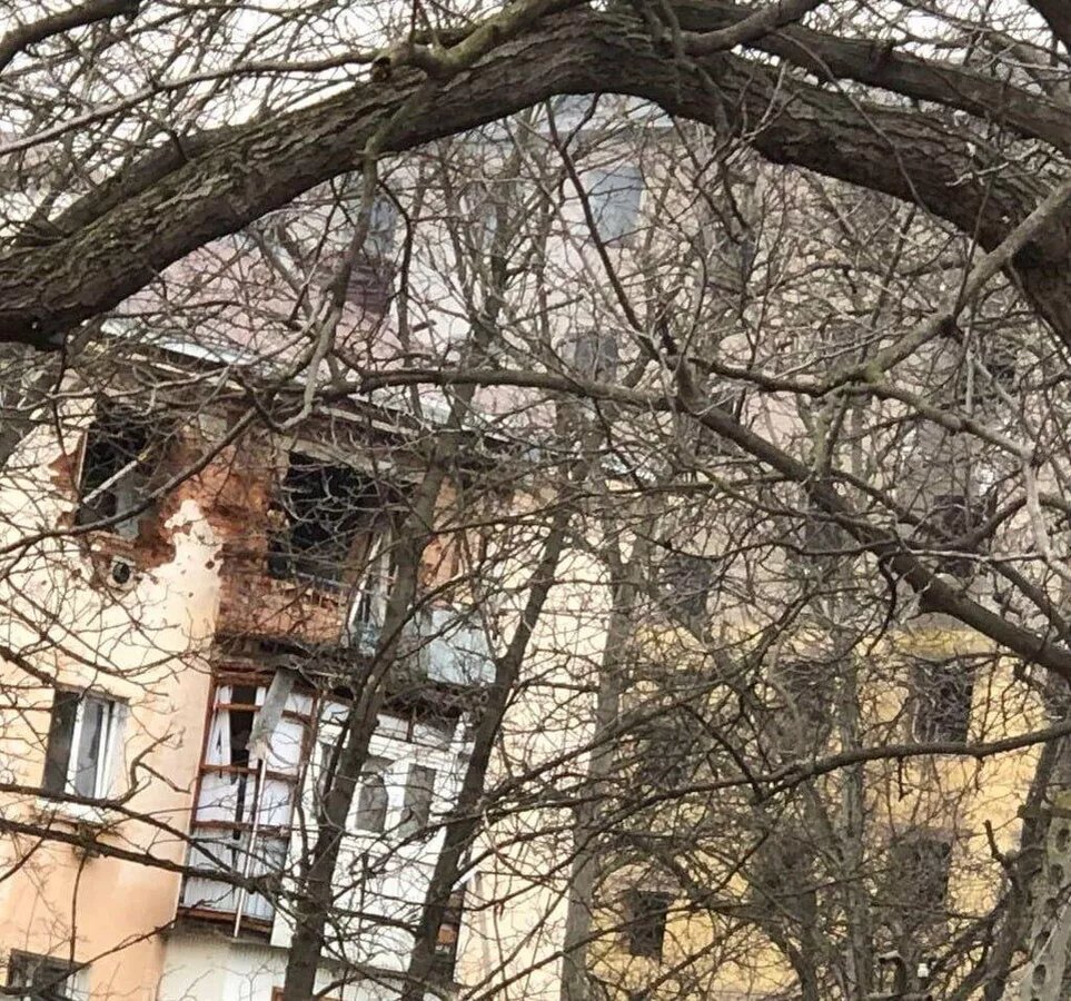 © Photo : соцсети