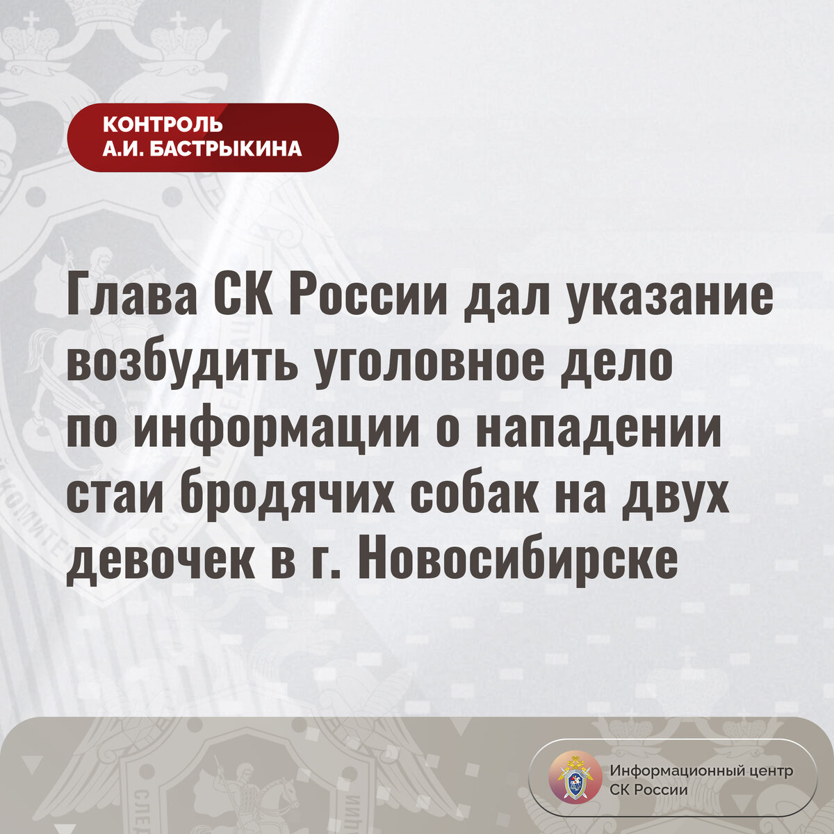 Глава СК России дал указание возбудить уголовное дело по информации о  нападении стаи бродячих собак на двух девочек в г. Новосибирске |  Информационный центр СК России | Дзен