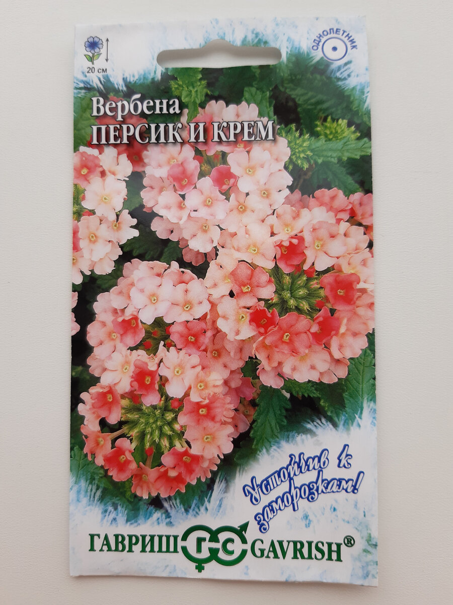Семена вербены нежной, пастельной окраски "Персик и крем"