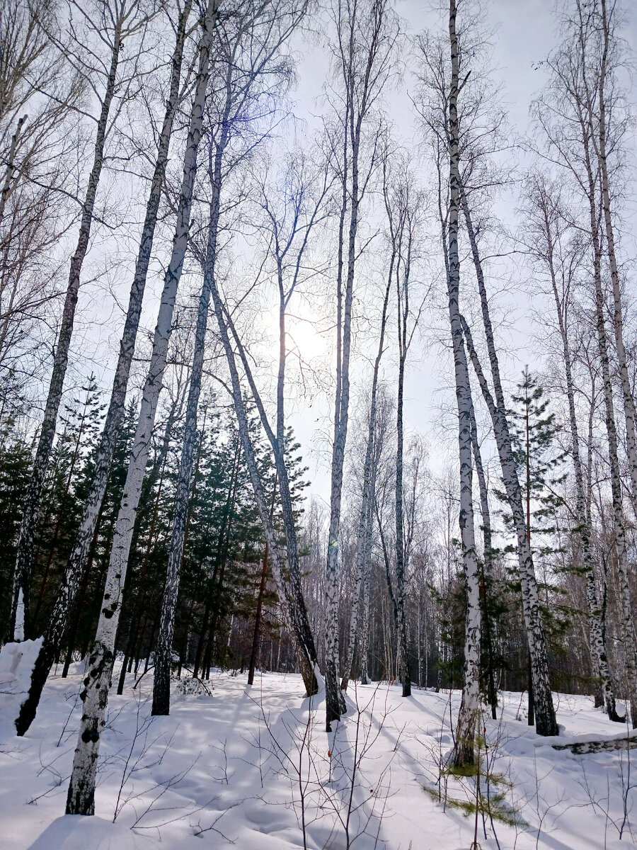 "Доброе утро, мир! Ты прекрасен!" Фото автора