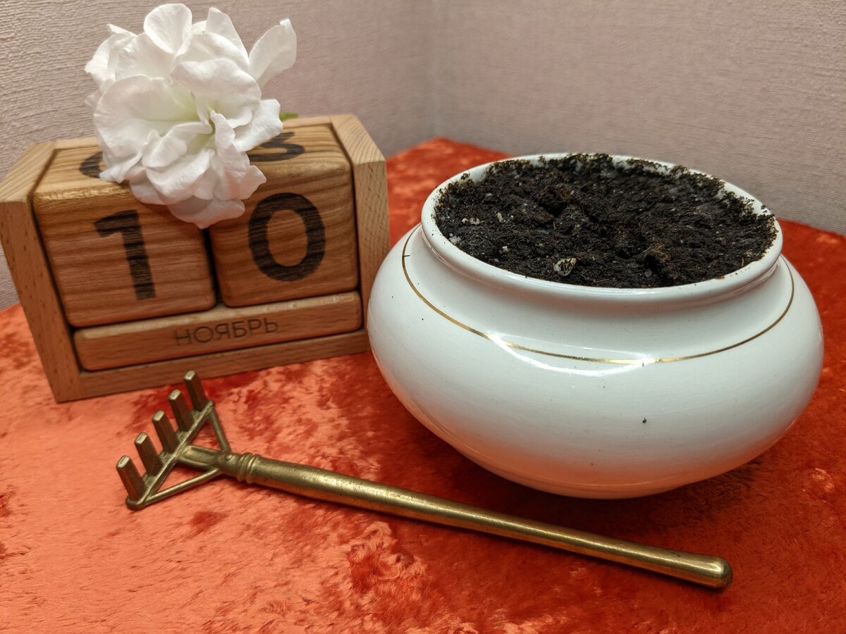 Всё было сделано правильно и по уму