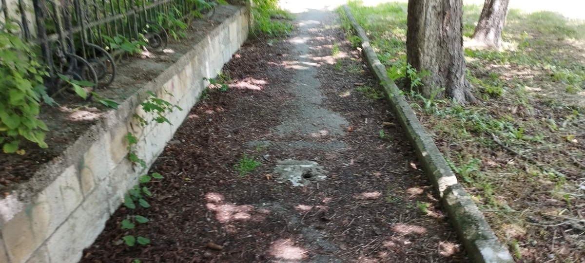 Дорога к даче Эльзы, такая же заброшенная, как и само здание