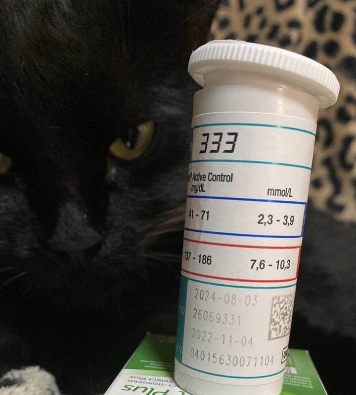 На фото - кот Бусик, любезно согласившийся проиллюстрировать проблему.