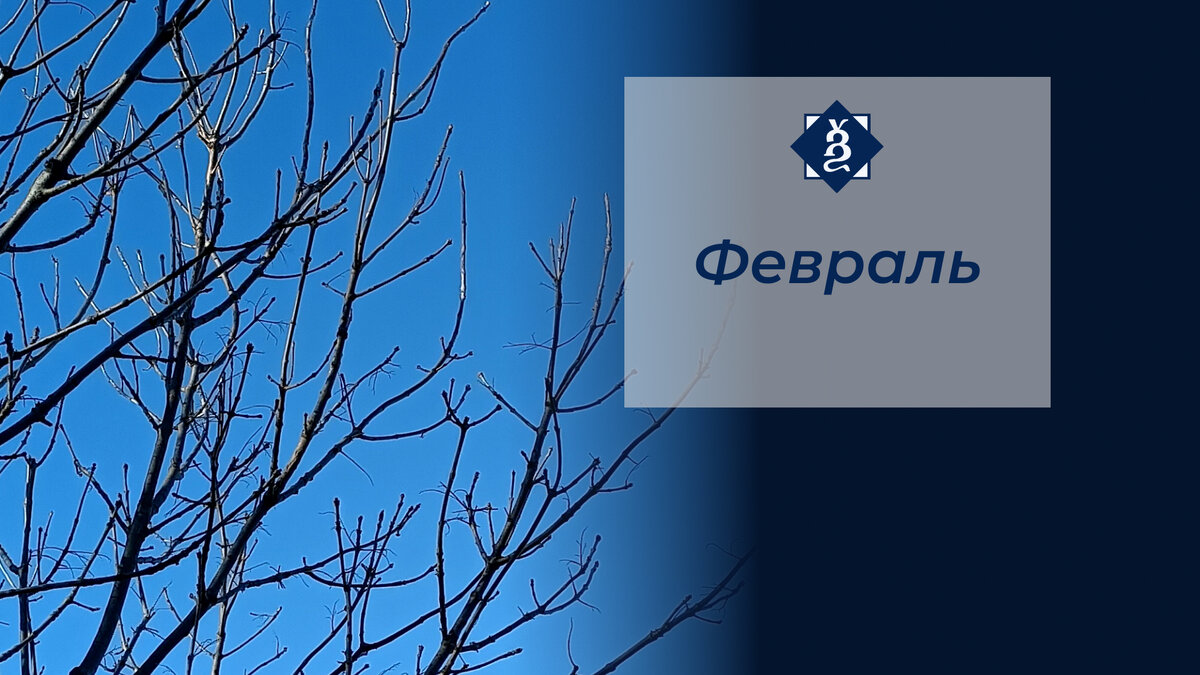 Февральская лазурь