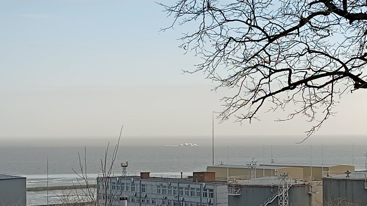 Видите кучку льда в заливе?