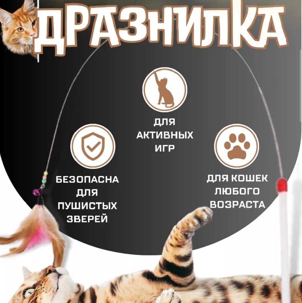 Фото кошек положить не могу - в игре получаются только размытые пятна