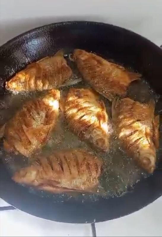 Фото: Р. Мухтаров 