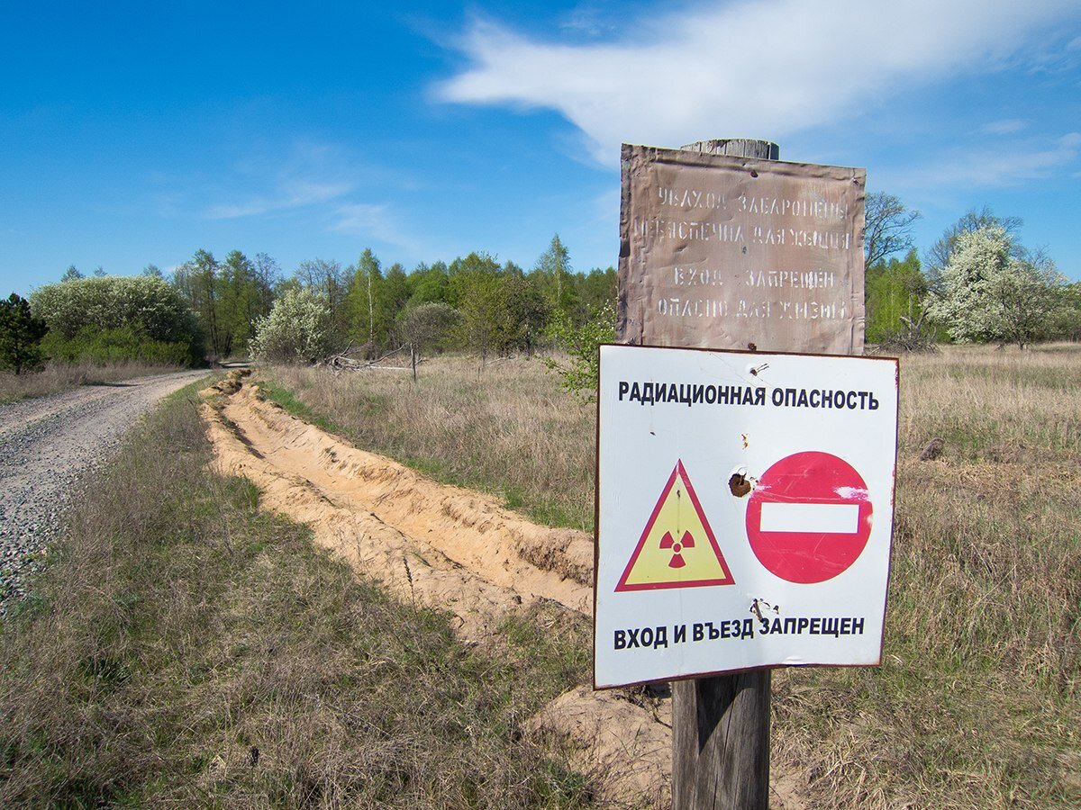 Фото взято из открытых источников