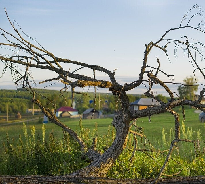 Аномальная зона треугольника начинается сразу за селом Молёбка. Источник: https://pixabay.com/photos/molebka-anomalous-zone-5031904/