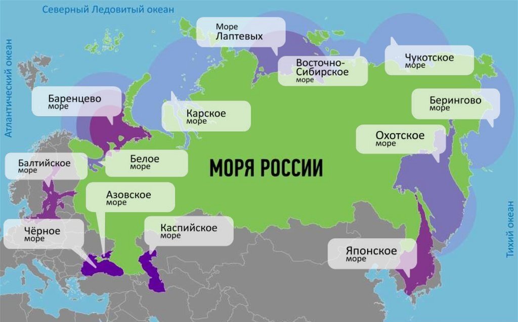 Какие страны омываются океанами