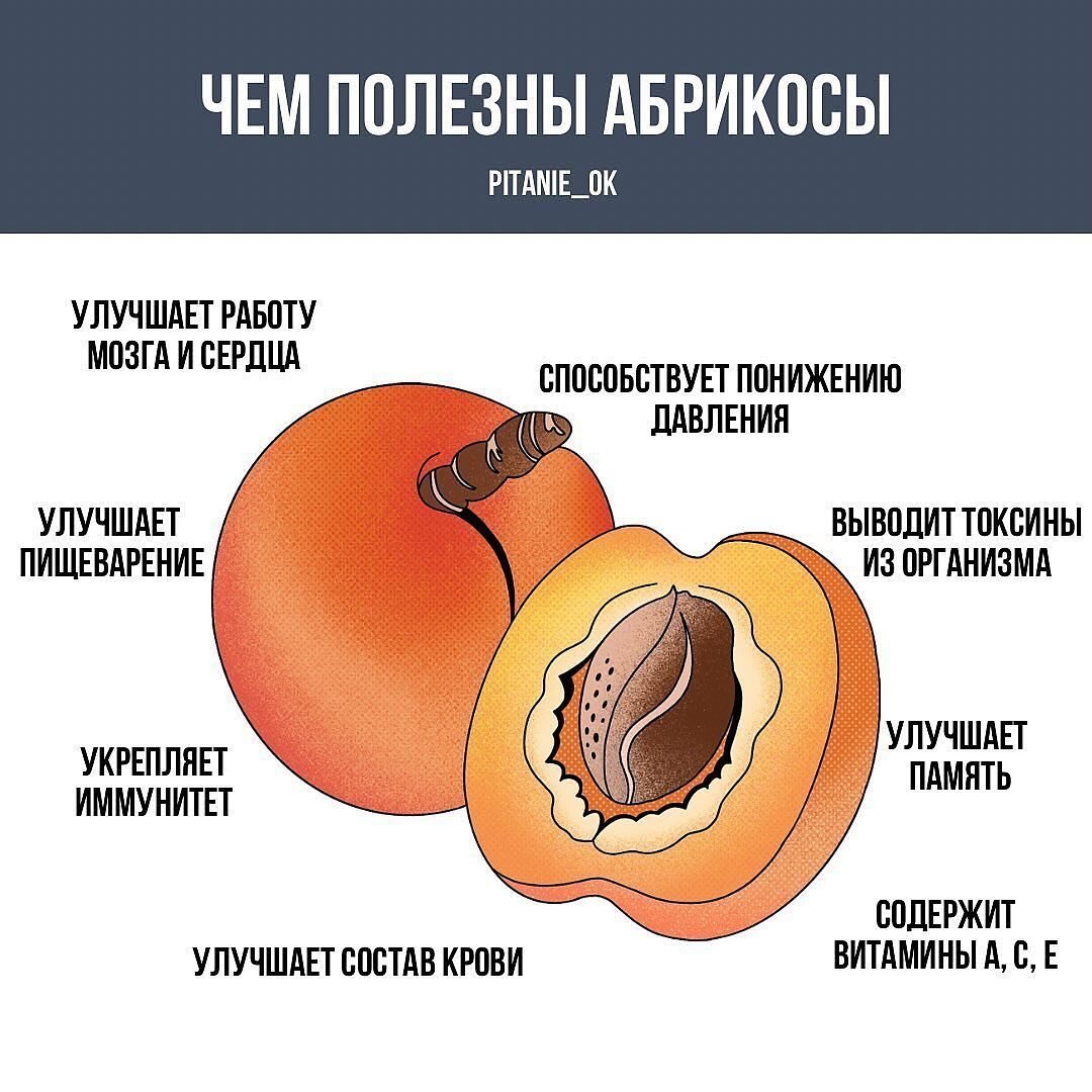 Чем полезен абрикос для организма человека свежий. Чем полезны абрикосы. Чем полезен абрикос для организма. Чем полезны абрикосы для женщин. Абрикос польза.