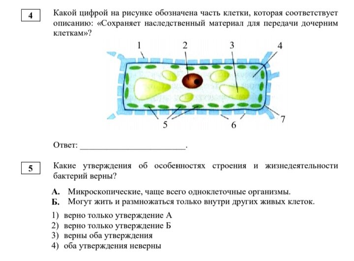 Рассмотри рисунок и ответь на вопрос что на рисунке обозначено цифрой 1