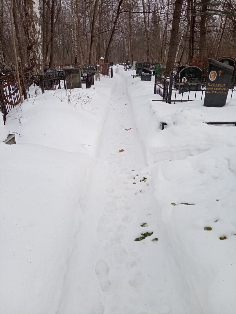 Походить пришлось изрядно.  Кладбище большое, Благо тропки между участками вычищены, а еще солнце и тепло. 