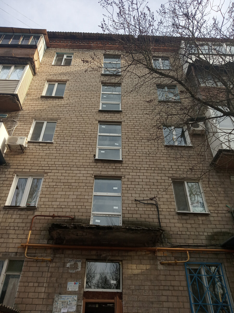 Для нас в Донецке все впервые: и аномально ранняя весна с первоцветами ...