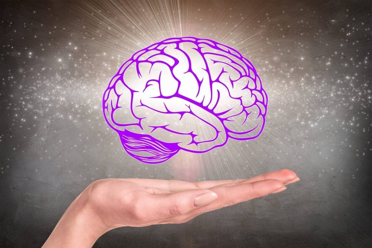 яндекс картинки