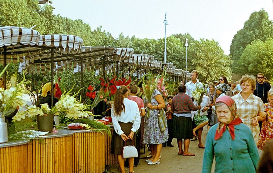 vik-shoping.ru