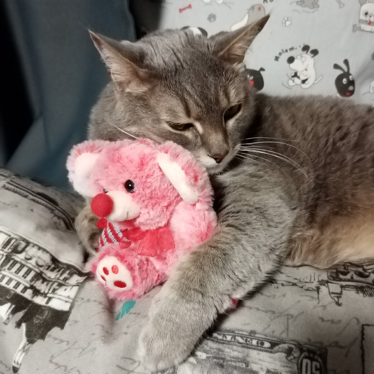 Мыши в нашем доме разрешены только в плюшевом виде