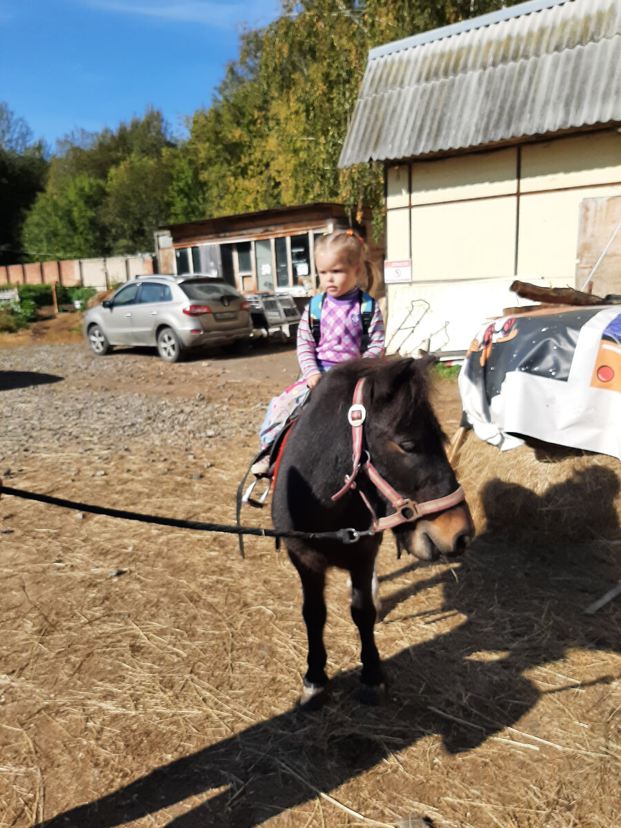 В прошлом году