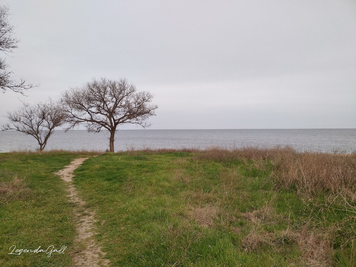Идем по  тропке к нашему любимому дереву
