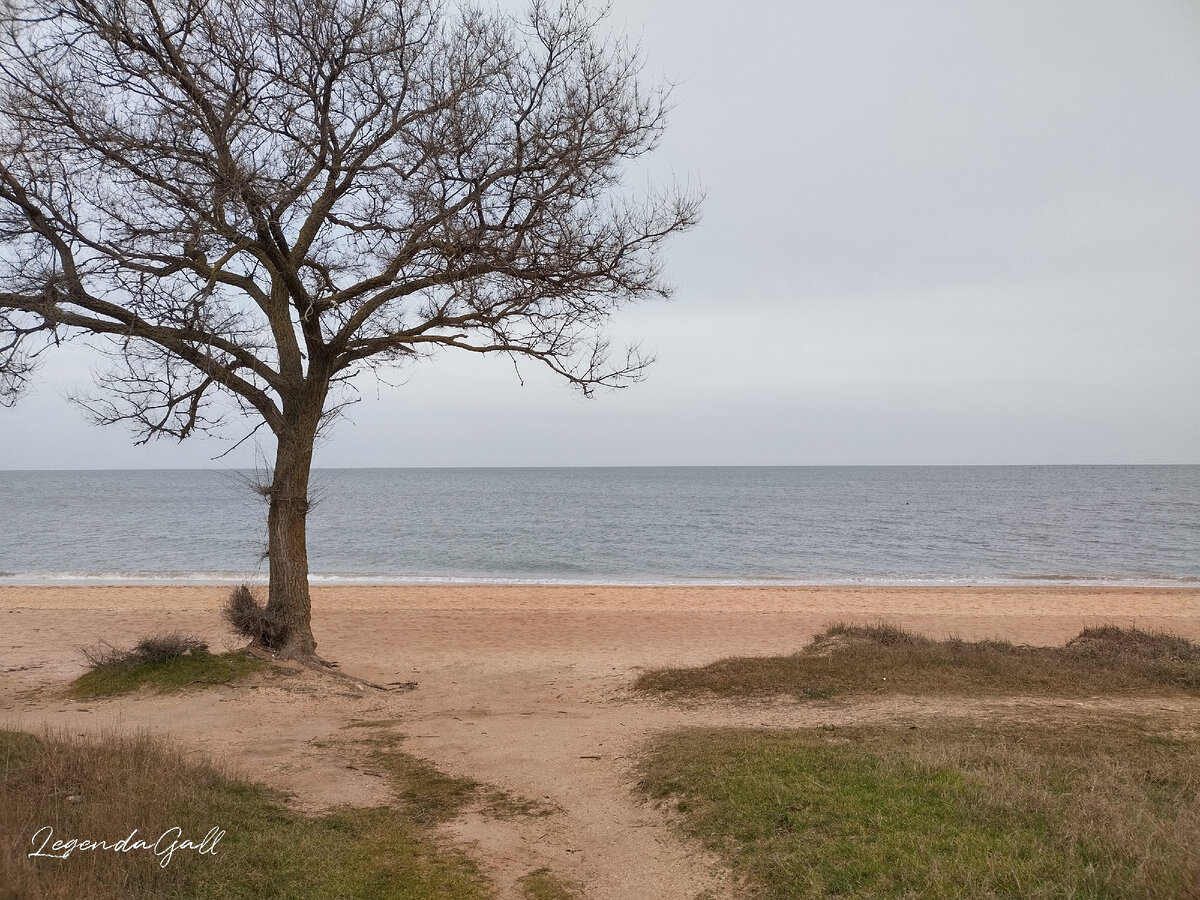Тут мы летом постоянно купались.