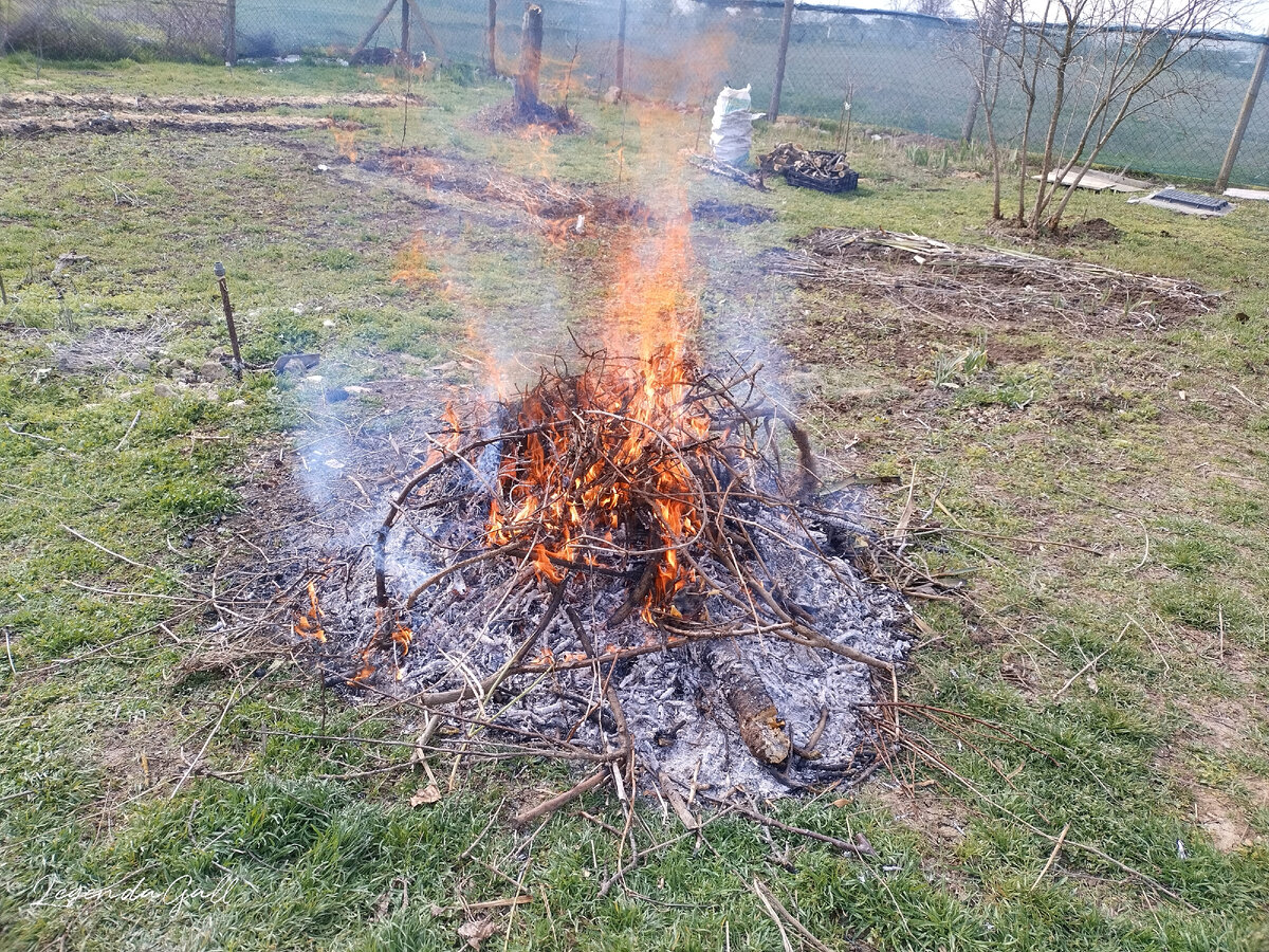 Гори-гори ясно